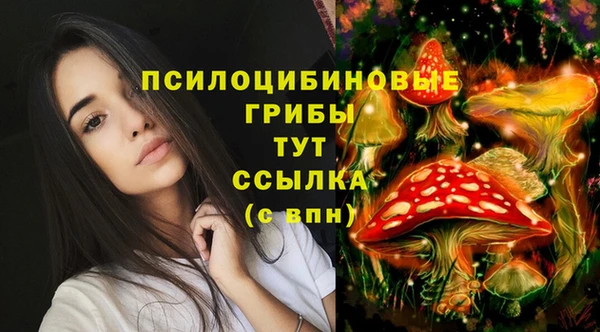 твердый Абдулино