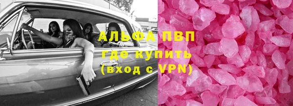 хмурый Абаза