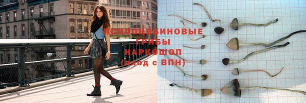 хмурый Абаза