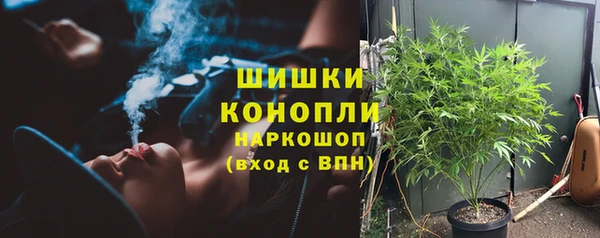 хмурый Абаза